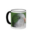 Green Quaker Parrot Mug