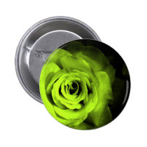 Green Rose buttons