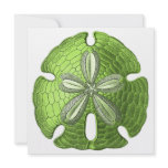 Green Sand Dollar Invitation