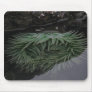 Green Sea Anemone Mousepads