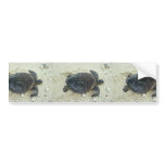 Green sea turtle bumper stickers