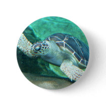 Green Sea Turtle Button