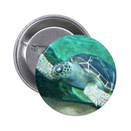 Green Sea Turtle Button