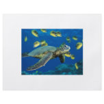 Green Sea Turtle flyers