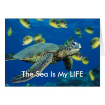 Green Sea Turtle Greeting Card