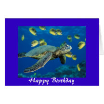 Green Sea Turtle, Happy Birthday Card