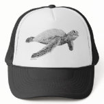 Green Sea Turtle Mesh Hats