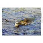Green Sea Turtle, Hawaii, Card