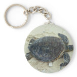 Green sea turtle keychains