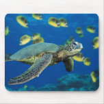 Green Sea Turtle Mouse Pads