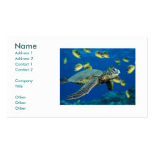 Green Sea Turtle, Name, Address 1, Address 2, C... Business Card Template