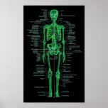 green skeleton print