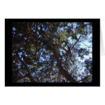 Green Skies cards
