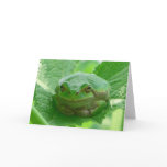 Green smiling Frog - close up cards