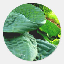 Green Steps Sticker