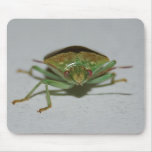 Green Stink Bug mousepad