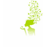 green sugar t-shirts