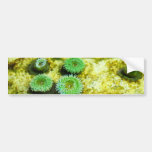 Green Tentacled Bumper Sticker