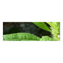 Green Thumb Business Card