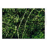 Green Tides cards
