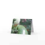 Green Tomatoes and Assassin Bugs - Note Card