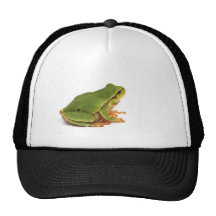 green tree frog hat