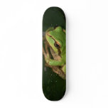 Green Tree Frog Skateboard