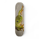 Green Tree Frog Custom Skateboard