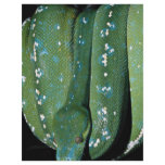 Green tree python, New Guinea Personalized Flyer