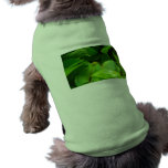 green tree python snake pet clothing