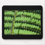 green trend mouse mats