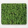 Green Turf Background Mouse Pads