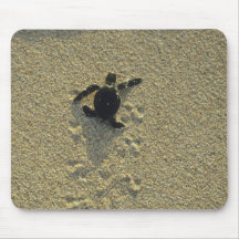 Green Turtle, (Chelonia mydas), hatchling Mousepad
