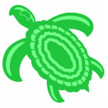 Green Turtle Ornament photo sculptures