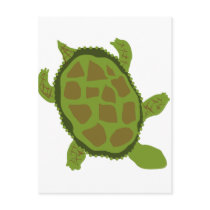 Green Turtle Tshirts and Gifts Post Card