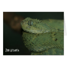 Green Viper Zoo Atlanta Greeting Cards