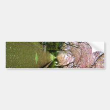 Green Walk Bumper Sticker