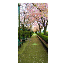 Green Walk Picture Card