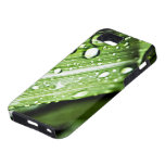 Green Water Drop Leaf iPhone 5 Cases