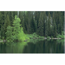 Green Water Photo Sculpture