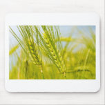 green_wheat_1920_x_1200_widescreen_2-1440x900 mouse pad
