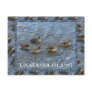 Green-winged Teal Ducks, Unalaska Island Postcard