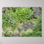 Greenery in Brook Posters