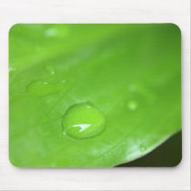 Greenery. mousepads