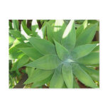 Greenery postcards