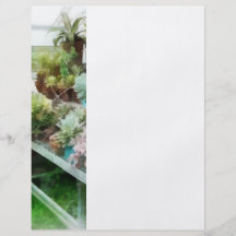 Greenhouse With Cactus Custom Flyer