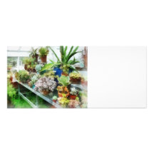 Greenhouse With Cactus Custom Rack Card
