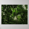 greenLush POSTER posters