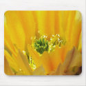 GREENRODS mousepads