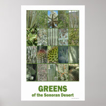Greens of the Sonoran Desert Print